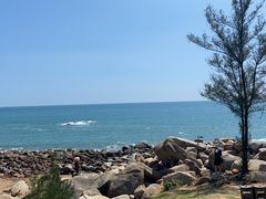 -广东惠东海龟国家级自然保护区