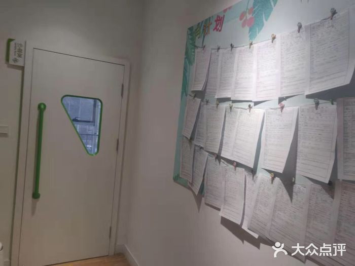金色雨林学习力培优(专注力提升)图片