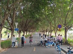 -风云岭森林公园