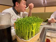 -海底捞火锅(城阳万象汇店)