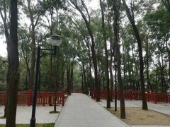 -南国桃园旅游度假区