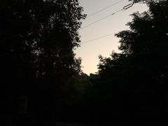 -东莞市虎英郊野公园