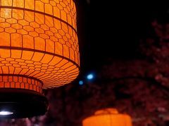 大堂-绿茶餐厅(昌平悦荟店)