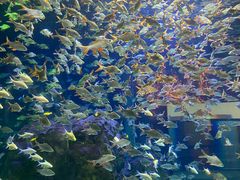 -成都浩海立方海洋公园