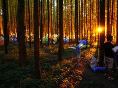 -山王坪喀斯特国家生态公园