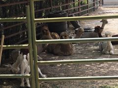 -青藏高原野生动物园