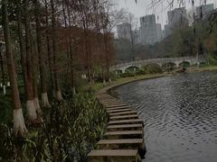 -重庆彩云湖湿地公园