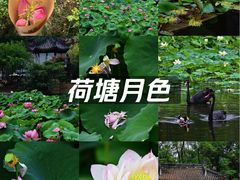 -文华公园(禅城区)