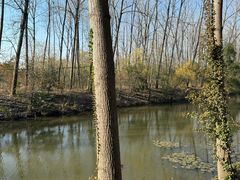 -合肥滨湖国家森林公园