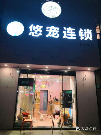 超可爱的猫咖，里面有布偶、银渐层、金渐层、美短、虎斑