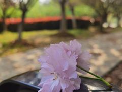 -南京市江宁方山