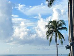 -三亚海棠湾万丽度假酒店