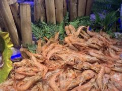 -万象·复兴号鲜肉烤肉海鲜自助(升级店)