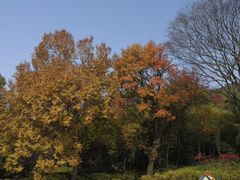 -东湖磨山景区