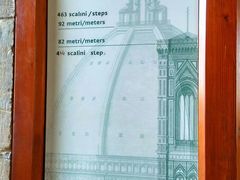 -圣母百花大教堂穹顶