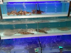 -盒马X会员店(王府井奥莱UP TOWN店)