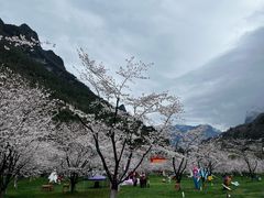 -高岚大峡谷旅游度假区