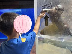 -哈尔滨波塞冬海底世界