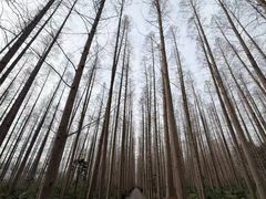 -上海怡沁园度假酒店