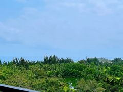 -海南清水湾莱佛士酒店