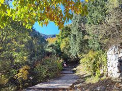 -北京鹫峰国家森林公园