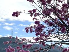 -白石龙音乐公园
