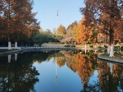 -环城公园-琥珀潭