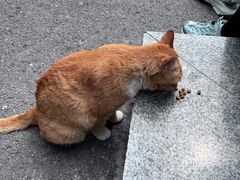 -晓港公园