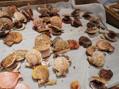 -圣罗巴海鲜烤肉自助(鲅鱼圈万达店)