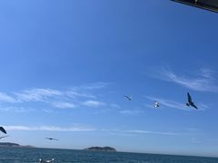 -一杯海(国际海水浴场店)