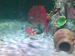 -沈阳海洋探索中心