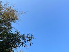 -潜山国家森林公园
