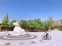 -永定河休闲森林公园