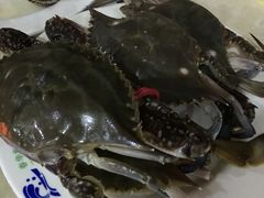 -春华海鲜城(广场西苑店)