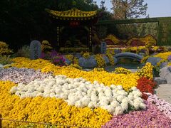 -共青国家森林公园-售票处