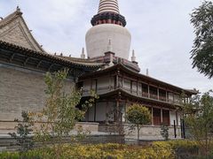 -张掖大佛寺景区