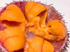 -常鲜楼常来尝鲜海胆馆(星海店)