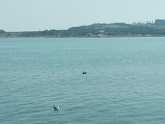 -海驴岛(荣成市)
