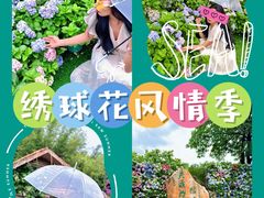 -天适樱花悠乐园