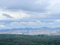 -灵谷景区