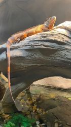 -Zoolung Zoolung动物主题公园(海信广场店)