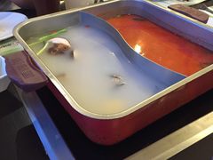-新辣道鱼火锅(领展购物广场·中关村店)