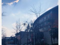 -四川大学(望江校区)