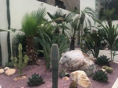 -梨泰院