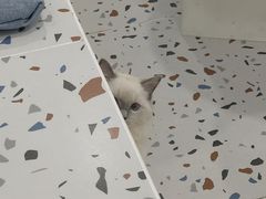 -FULL MOON满月咖啡