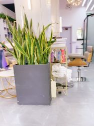 -FUTURE HN男士发型风格设计