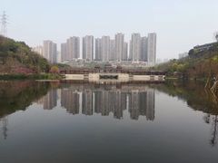 -重庆彩云湖湿地公园