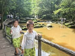-茅兰沟国家森林公园