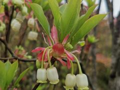 -广东天露山旅游度假区