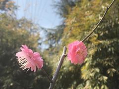 -堤角公园